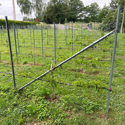 Kiwiri RANKI™ – Trellis for climbing plants