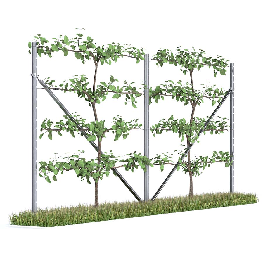 Kiwiri RANKI™ – Trellis for climbing plants