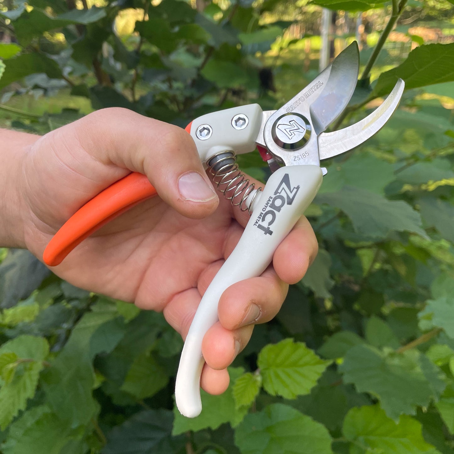 Japanese precision garden shears – ZACT ZS-185