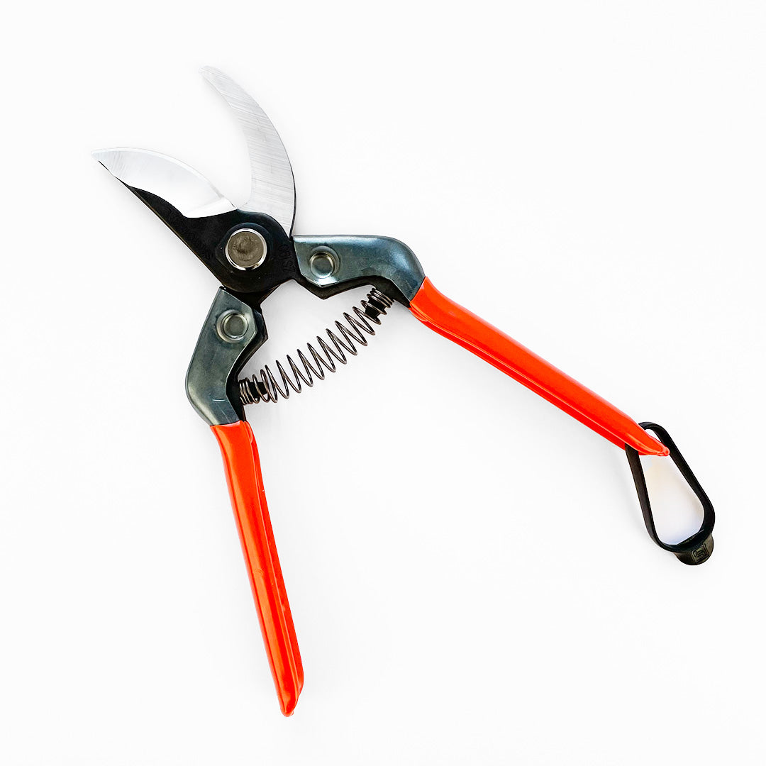 Japanese precision garden shears – ZACT ZS-190